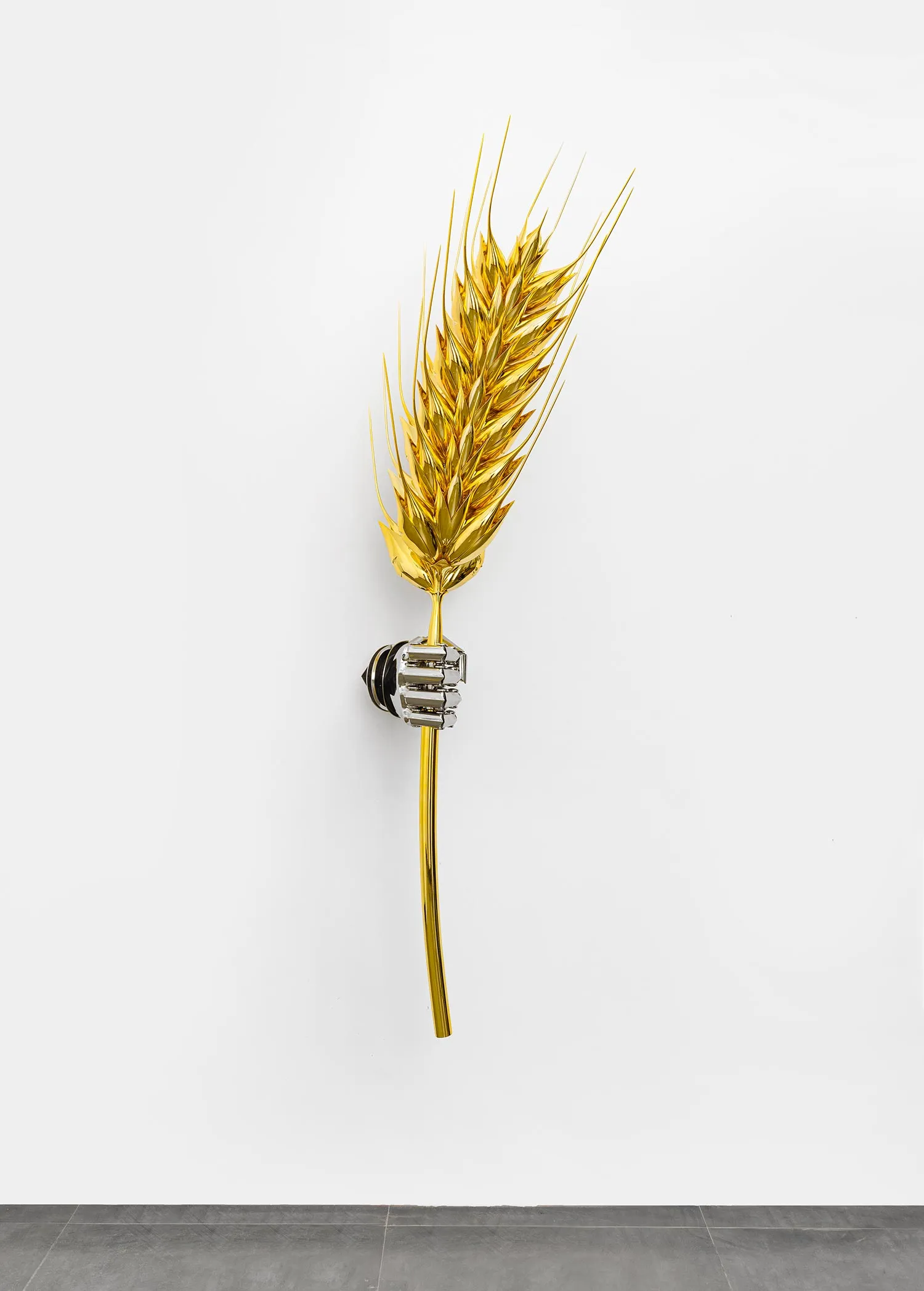Hua Wang - God of Wheat